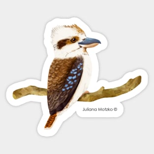 Kookaburra Bird Realistic Illustration Sticker